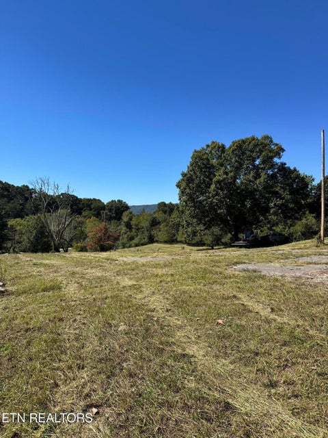 Tiny photo for 214 Cates Rd, Rockwood, TN 37854 (MLS # 1358399)