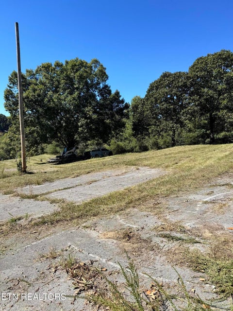 Tiny photo for 214 Cates Rd, Rockwood, TN 37854 (MLS # 1358399)