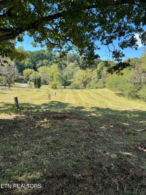 Tiny photo for 214 Cates Rd, Rockwood, TN 37854 (MLS # 1358399)
