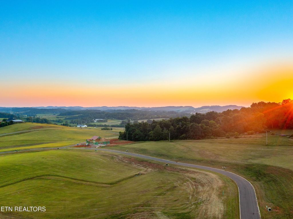 Photo of 76 Meadow Rose Drive, White Pine, TN 37890 (MLS # 1311875)