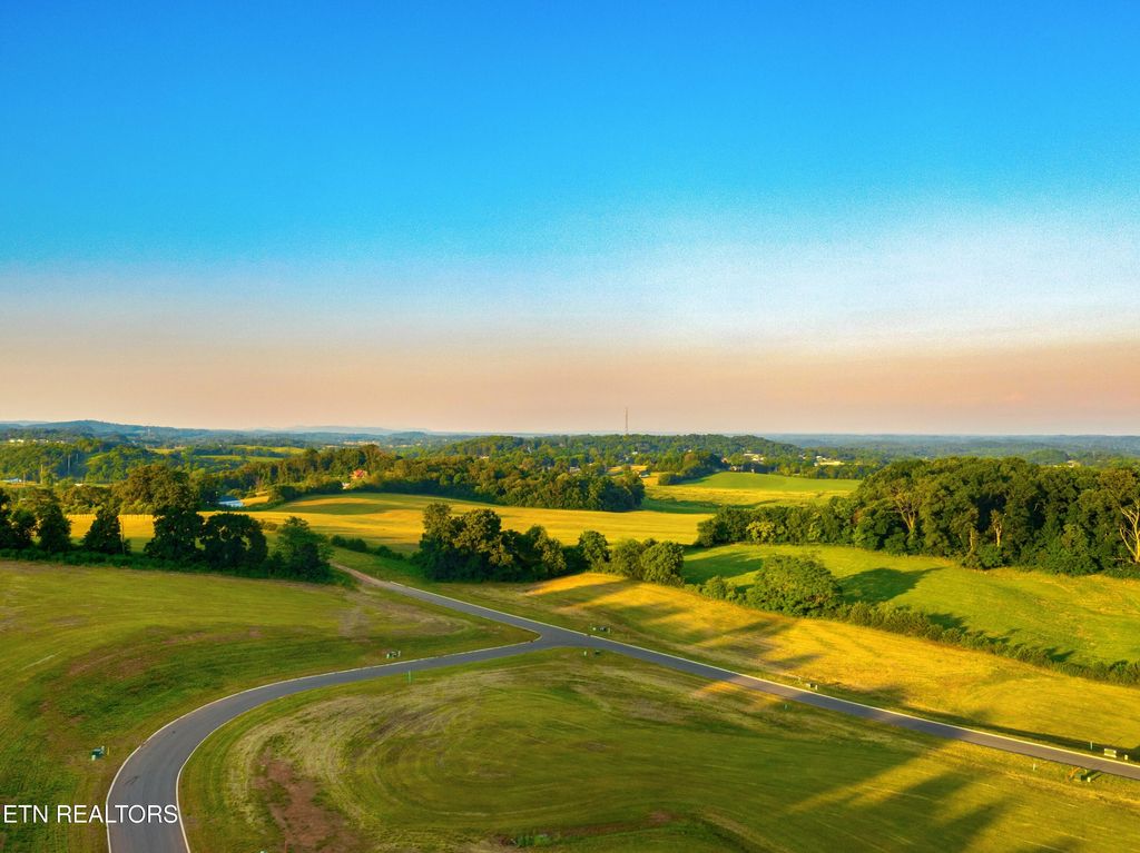 Photo of 76 Meadow Rose Drive, White Pine, TN 37890 (MLS # 1311875)