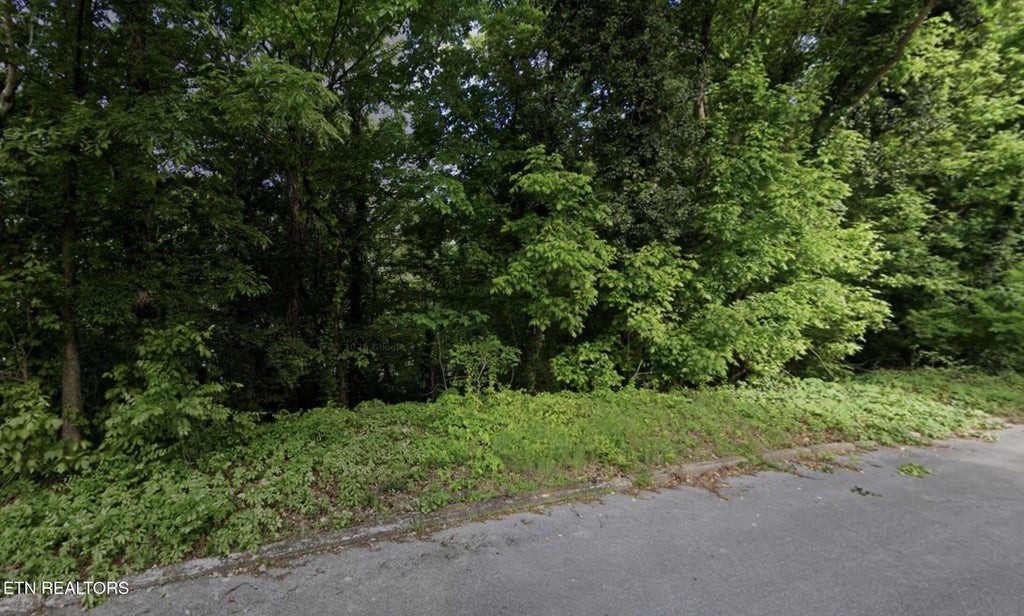 Photo of Cedar St, Greeneville, TN 37743 (MLS # 1360452)
