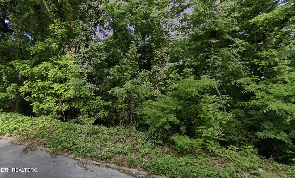 Photo of Cedar St, Greeneville, TN 37743 (MLS # 1360452)