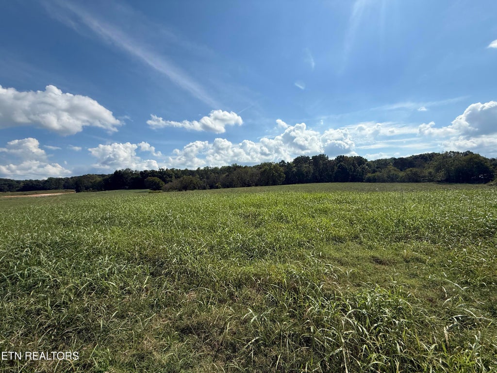 Photo of 22400 Martel Rd, Lenoir City, TN 37772 (MLS # 1357910)