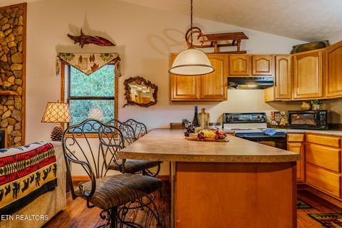 Tiny photo for 3386 Rocky Ridge Rd, Cosby, TN 37722 (MLS # 1335429)