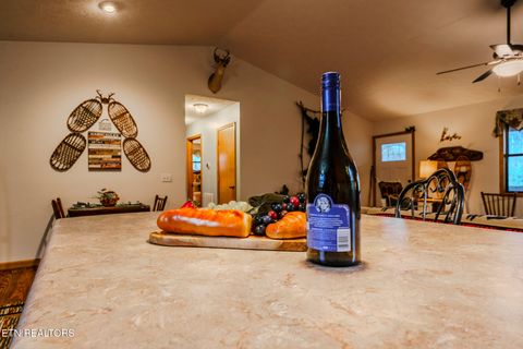 Tiny photo for 3386 Rocky Ridge Rd, Cosby, TN 37722 (MLS # 1335429)