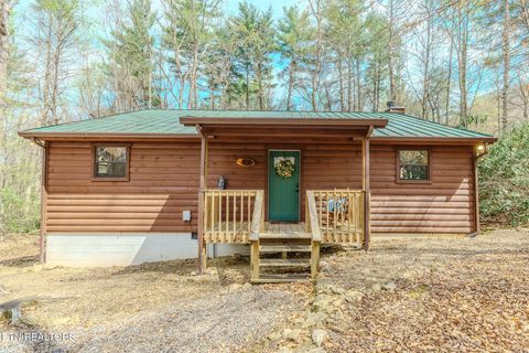 Tiny photo for 3386 Rocky Ridge Rd, Cosby, TN 37722 (MLS # 1335429)