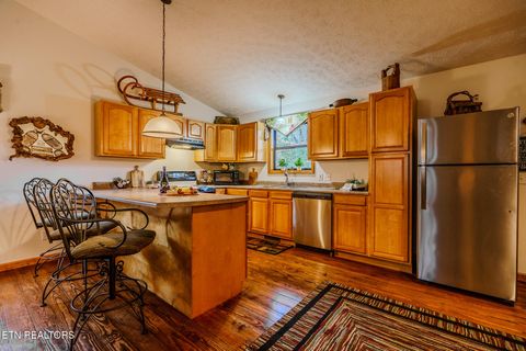 Tiny photo for 3386 Rocky Ridge Rd, Cosby, TN 37722 (MLS # 1335429)