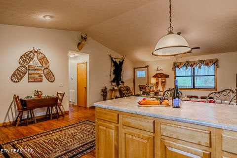 Tiny photo for 3386 Rocky Ridge Rd, Cosby, TN 37722 (MLS # 1335429)