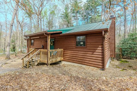 Photo of 3386 Rocky Ridge Rd, Cosby, TN 37722 (MLS # 1335429)