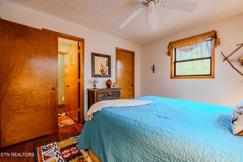 Tiny photo for 3386 Rocky Ridge Rd, Cosby, TN 37722 (MLS # 1335429)