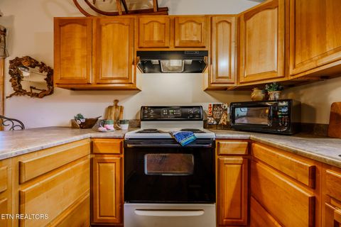 Tiny photo for 3386 Rocky Ridge Rd, Cosby, TN 37722 (MLS # 1335429)