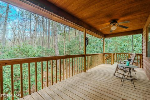 Tiny photo for 3386 Rocky Ridge Rd, Cosby, TN 37722 (MLS # 1335429)