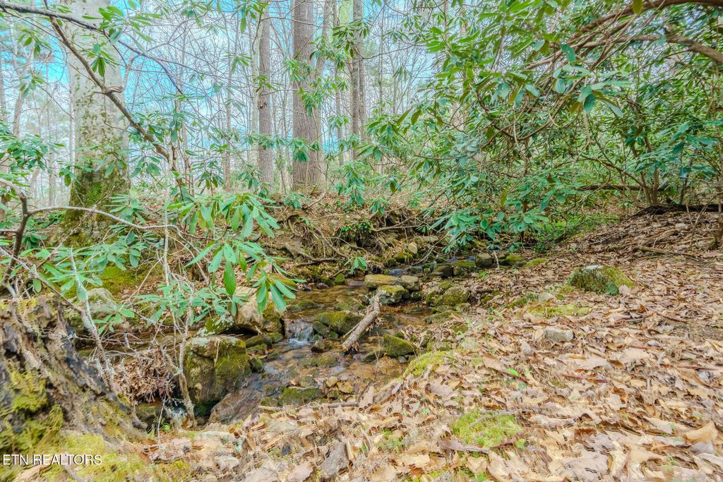 Photo of 3386 Rocky Ridge Rd, Cosby, TN 37722 (MLS # 1335429)
