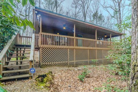 Tiny photo for 3386 Rocky Ridge Rd, Cosby, TN 37722 (MLS # 1335429)
