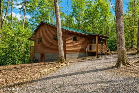 Property photo of 3386 Rocky Ridge Rd, Cosby, TN 37722
