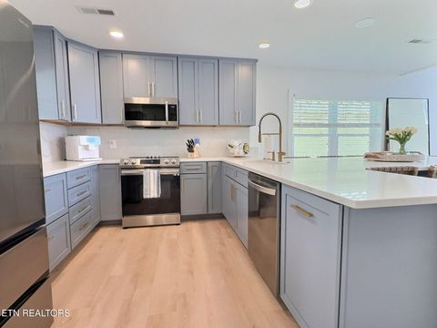 Tiny photo for 117 W Deer Hill Village Lane, LaFollette, TN 37766 (MLS # 1317053)