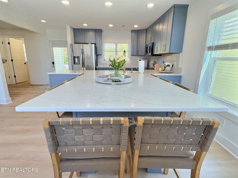 Tiny photo for 117 W Deer Hill Village Lane, LaFollette, TN 37766 (MLS # 1317053)