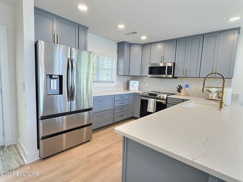 Tiny photo for 117 W Deer Hill Village Lane, LaFollette, TN 37766 (MLS # 1317053)