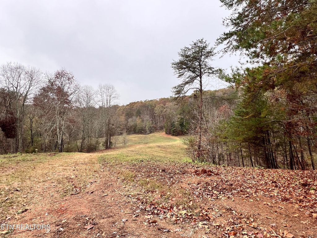 Photo of 3 Raby Hollow Rd, Kingston, TN 37763 (MLS # 1283084)