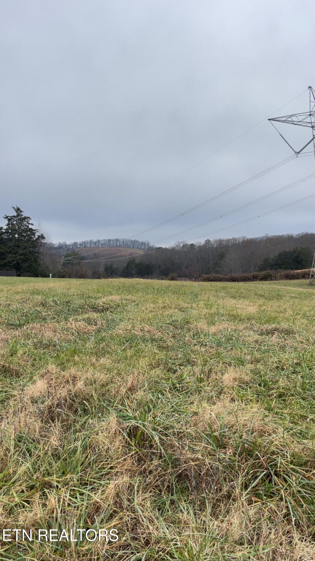 Photo of Campbells Point Rd, Corryton, TN 37721 (MLS # 1323798)