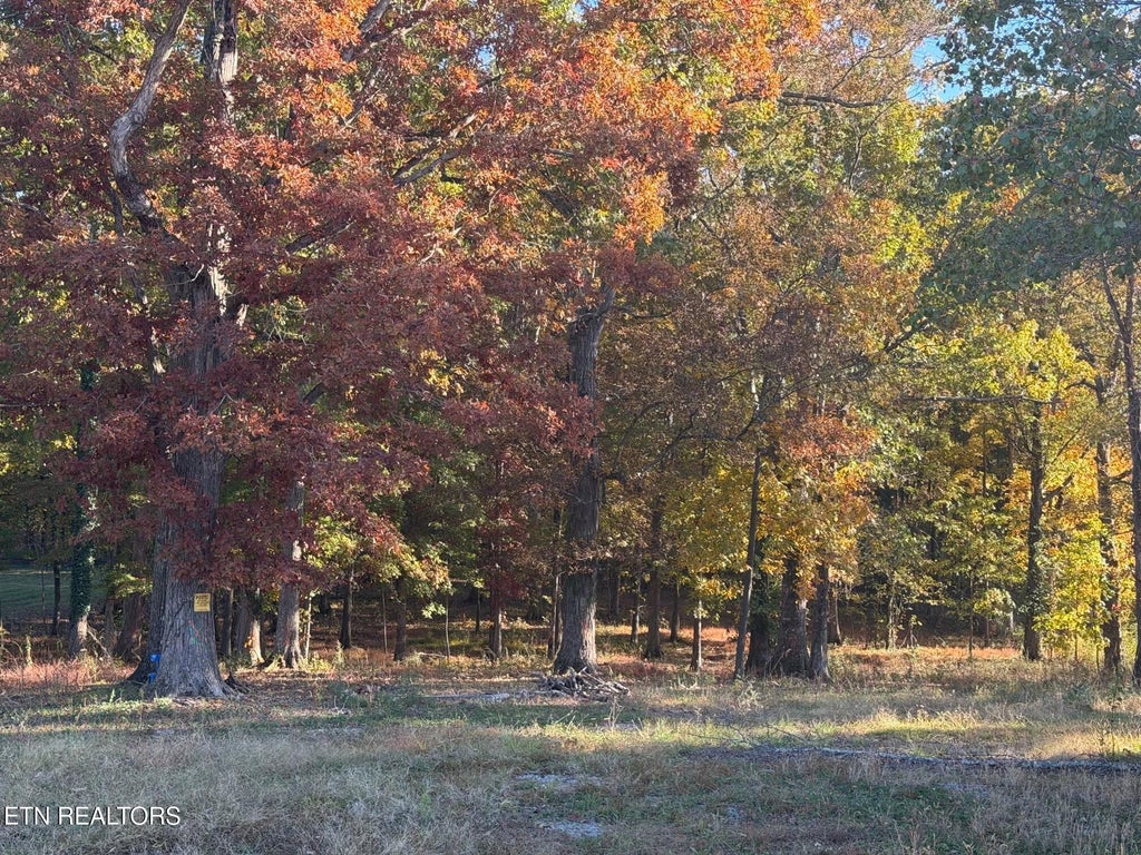 Photo of 915 Tittsworth Springs Rd, Seymour, TN 37865 (MLS # 1360531)
