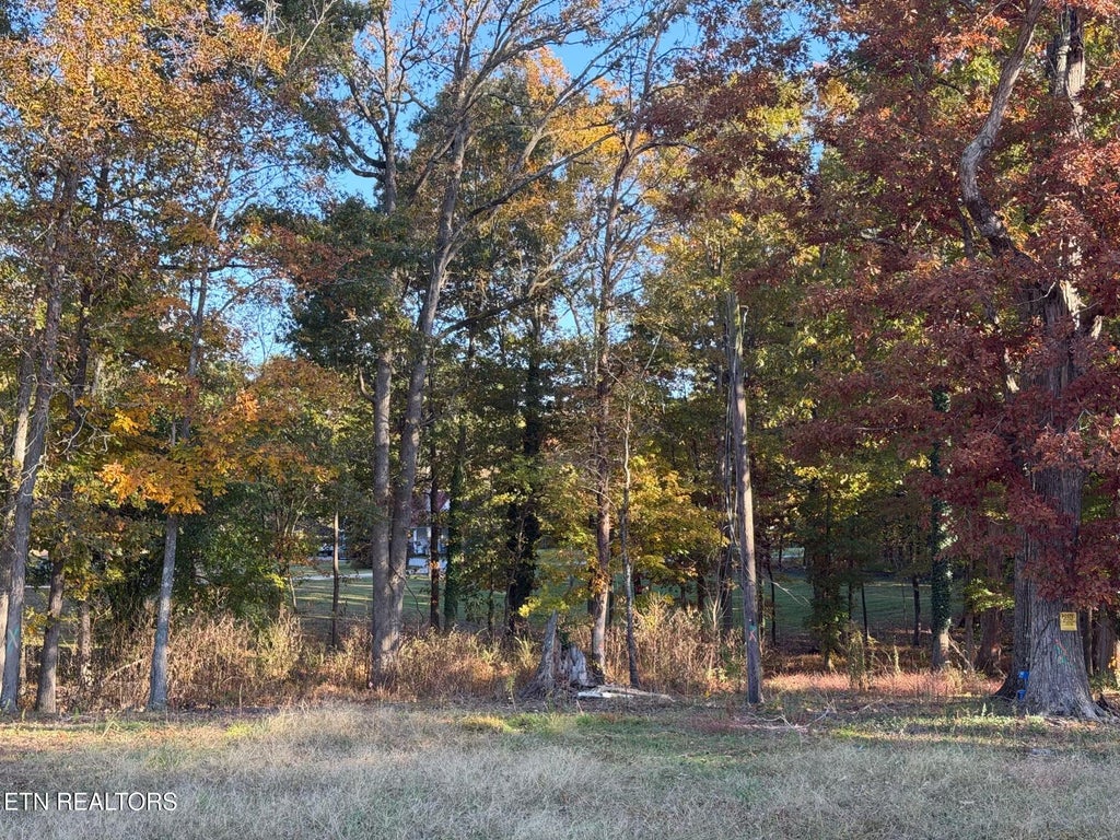Photo of 915 Tittsworth Springs Rd, Seymour, TN 37865 (MLS # 1360531)