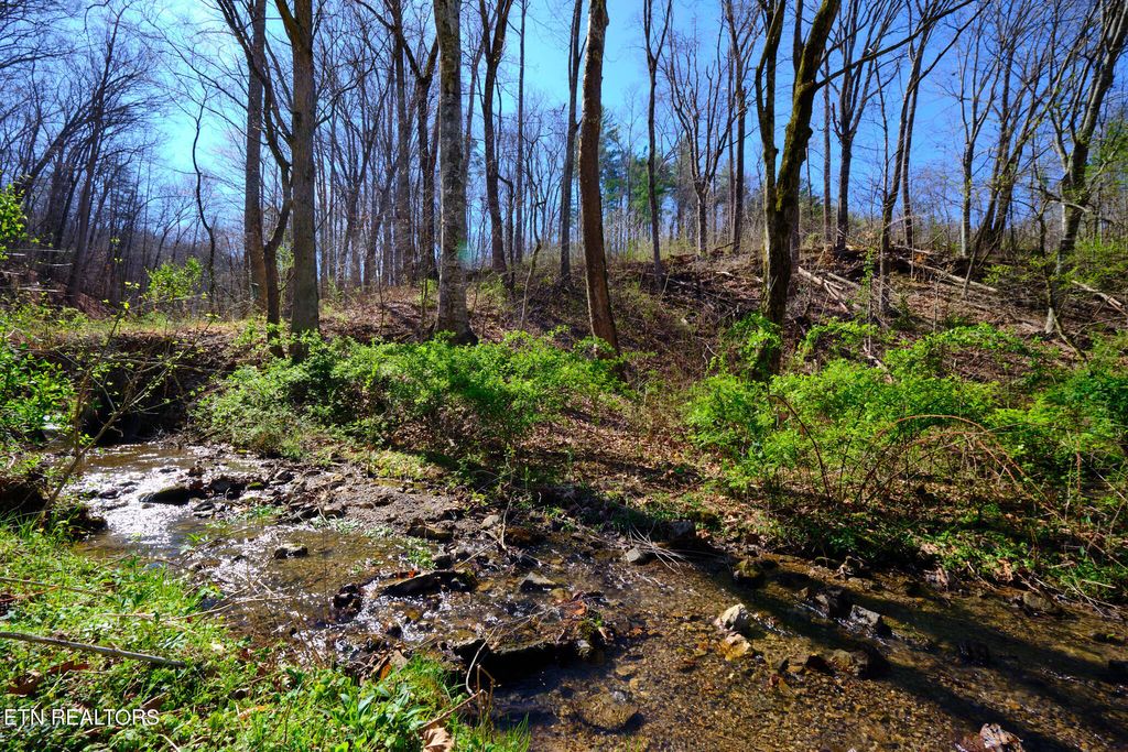 Photo of 3212 Long Hollow Rd, Powell, TN 37849 (MLS # 1334092)