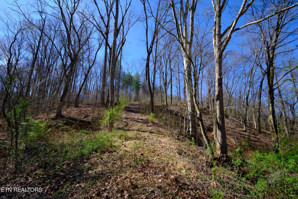 Photo of 3212 Long Hollow Rd, Powell, TN 37849 (MLS # 1334092)