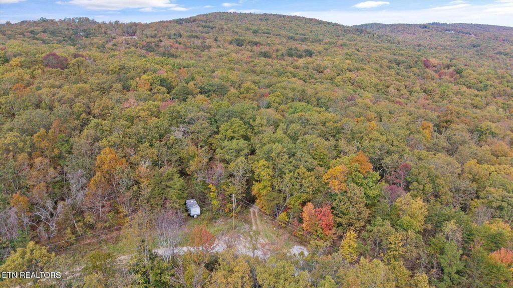 Photo of Raeanne Drive, Spring City, TN 37381 (MLS # 1348271)