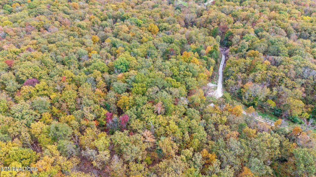 Photo of Raeanne Drive, Spring City, TN 37381 (MLS # 1348271)