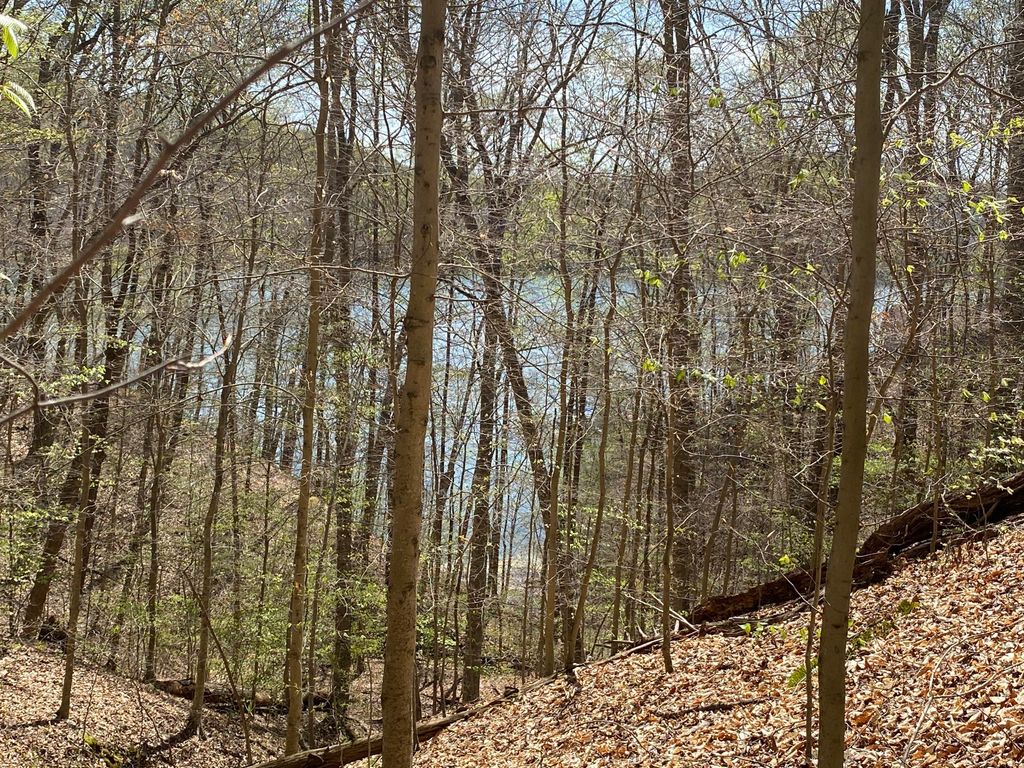Photo of Norris Shores Drive, Sharps Chapel, TN 37866 (MLS # 1150074)