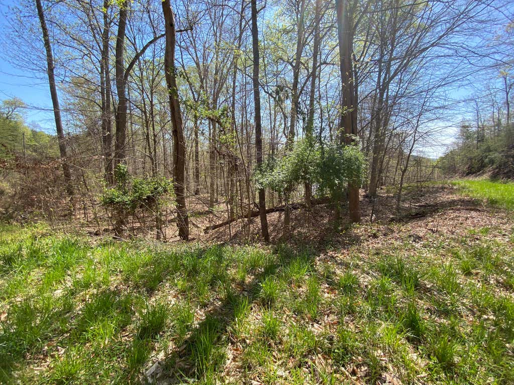 Photo of Norris Shores Drive, Sharps Chapel, TN 37866 (MLS # 1150074)