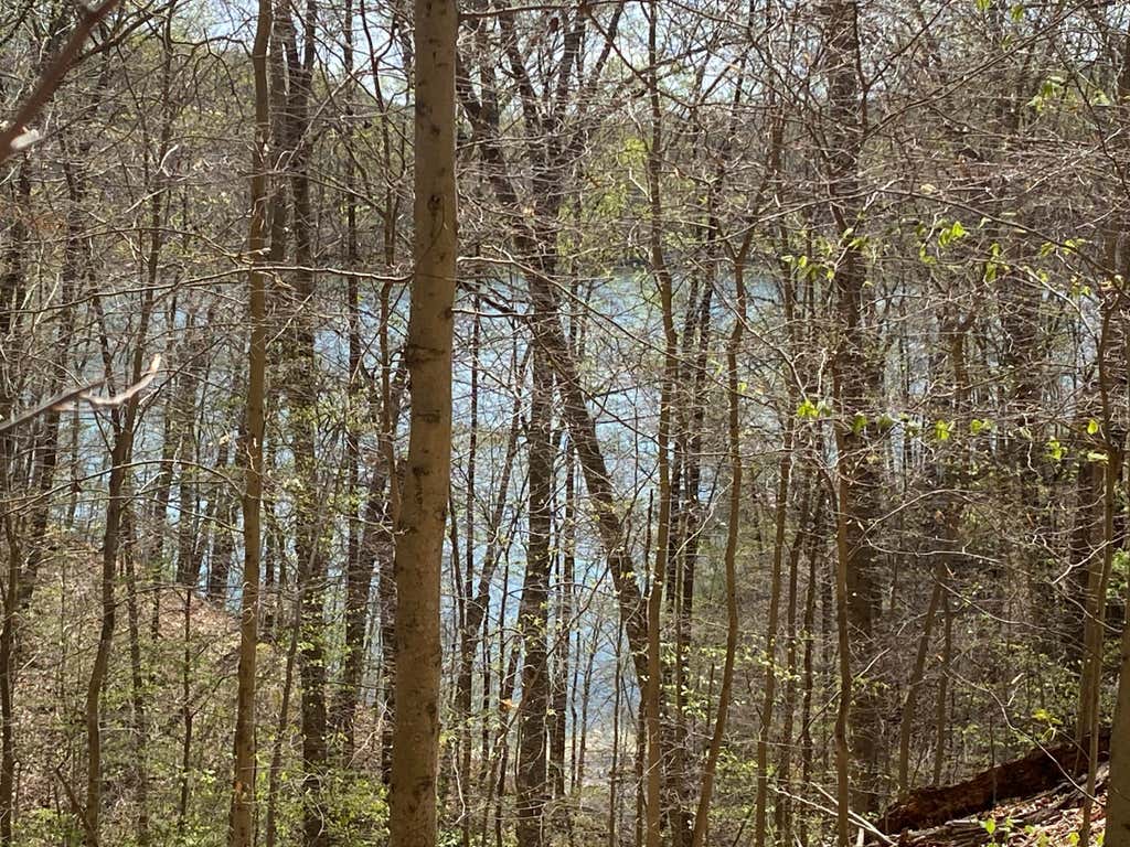Photo of Norris Shores Drive, Sharps Chapel, TN 37866 (MLS # 1150074)