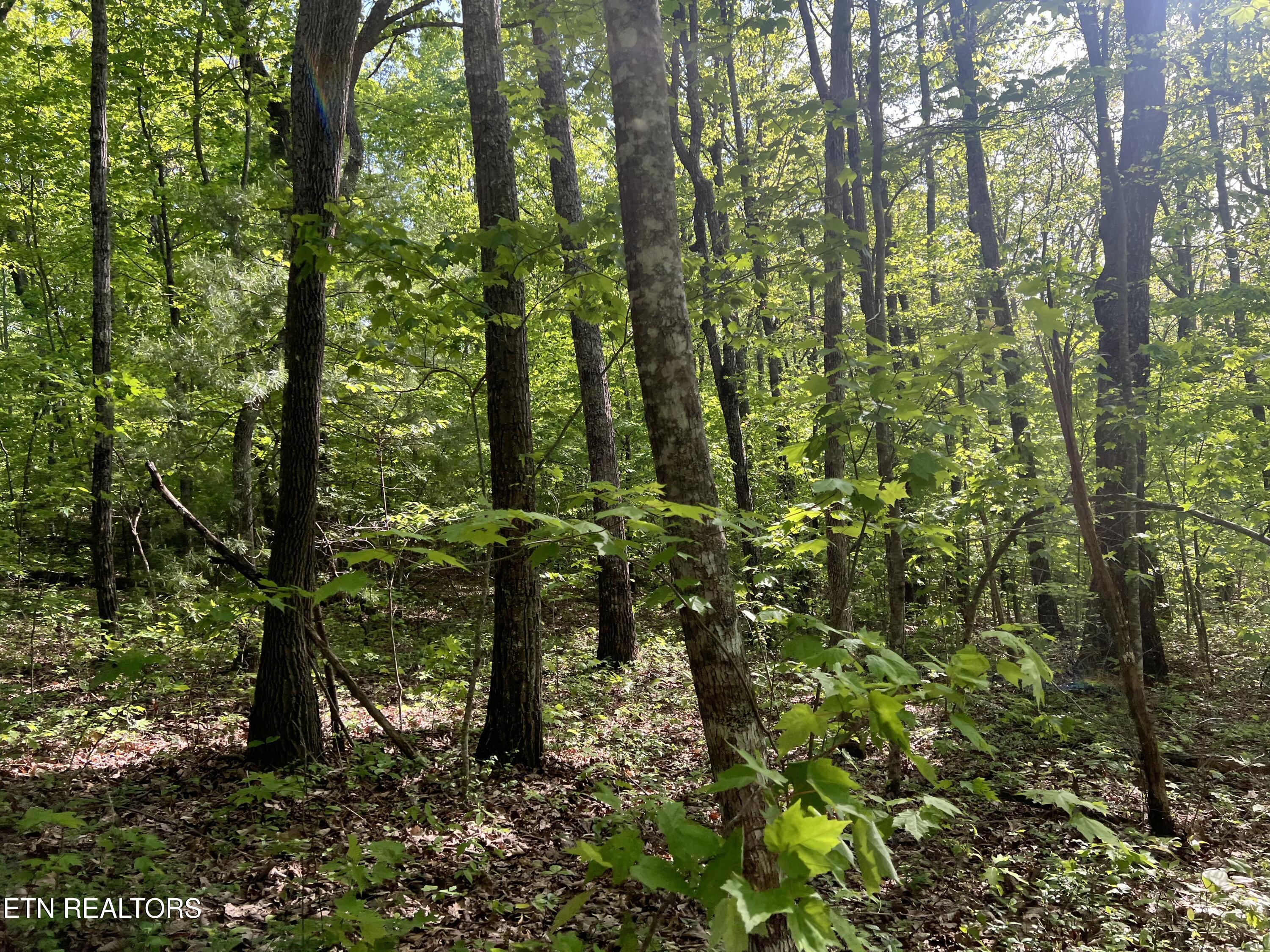 658ac Peavine Firetower Rd