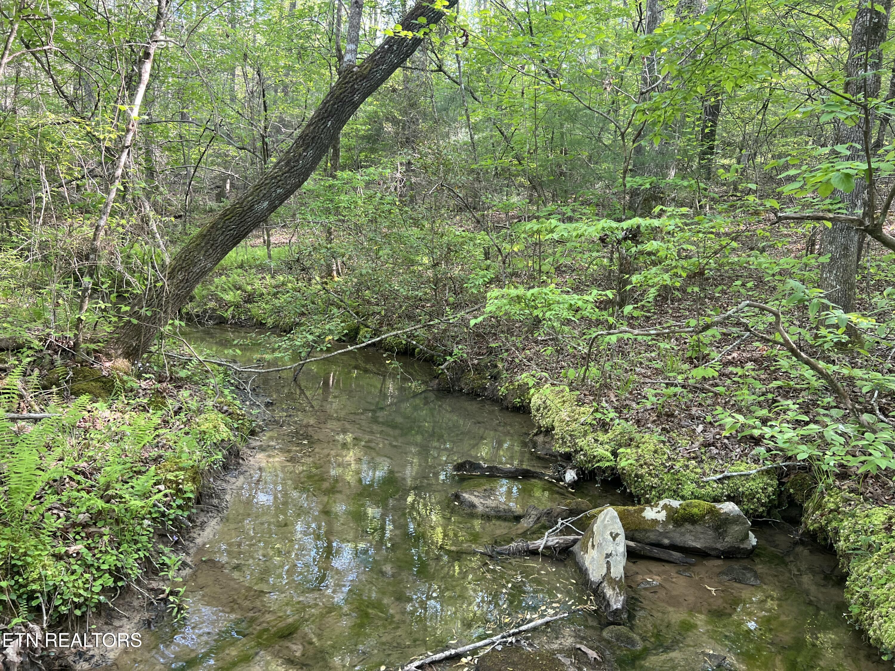 658ac Peavine Firetower Rd