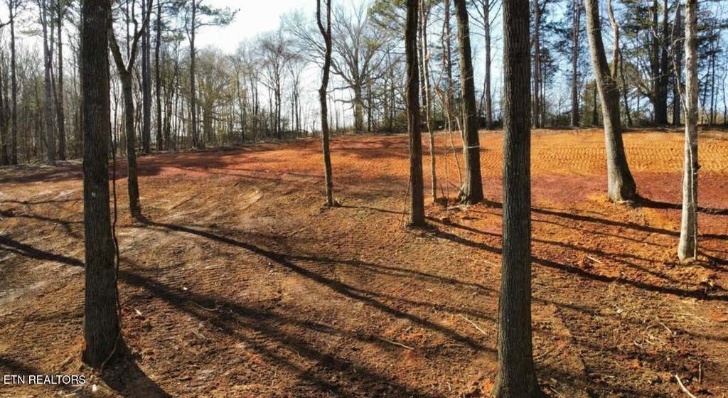 Photo of 969 County Rd, Delano, TN 37325 (MLS # 1350340)