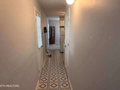 Tiny photo for 3109 Avondale Ave, Knoxville, TN 37917 (MLS # 1332478)