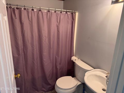 Tiny photo for 3109 Avondale Ave, Knoxville, TN 37917 (MLS # 1332478)