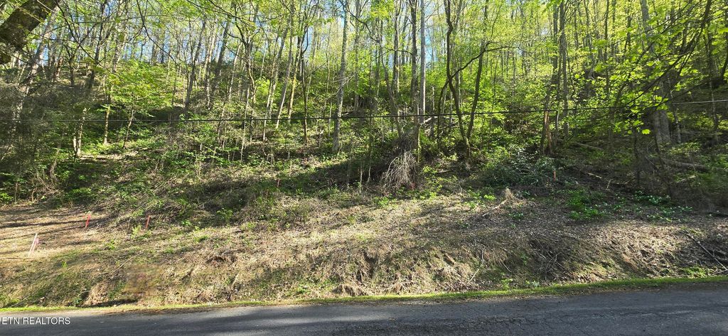 Photo of 0 Black Walnut Flats Rd, Sevierville, TN 37862 (MLS # 1296940)