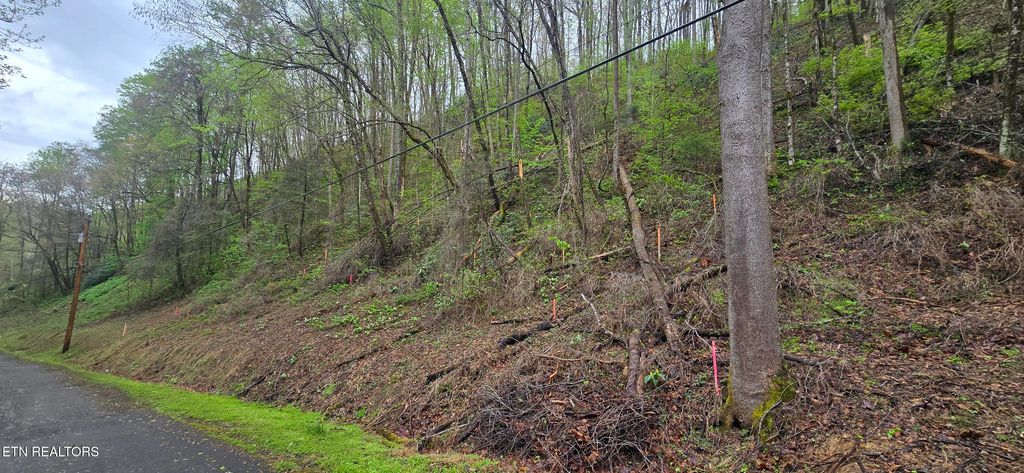 Photo of 0 Black Walnut Flats Rd, Sevierville, TN 37862 (MLS # 1296940)