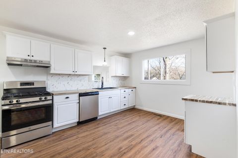 Tiny photo for 2705 NE Spencer St, Knoxville, TN 37917 (MLS # 1328725)