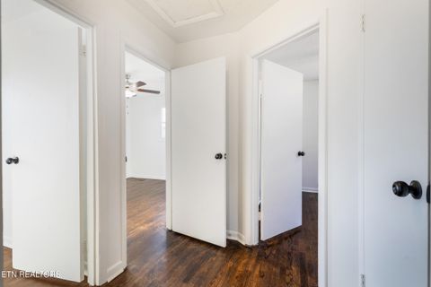 Tiny photo for 2705 NE Spencer St, Knoxville, TN 37917 (MLS # 1328725)