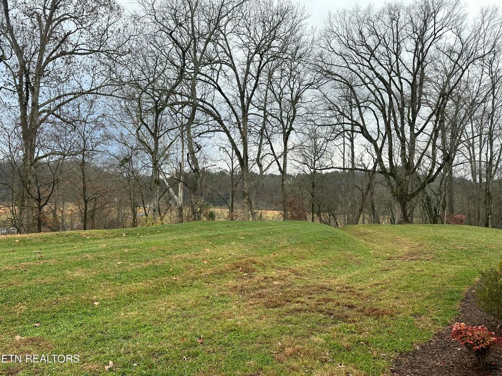 Photo of 766 Snowfllower Circle Circle, Pigeon Forge, TN 37863 (MLS # 1323959)