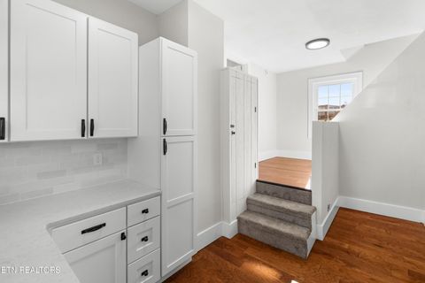 Tiny photo for 814 E Jefferson St, Jefferson City, TN 37760 (MLS # 1324321)