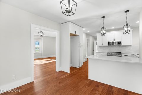 Tiny photo for 814 E Jefferson St, Jefferson City, TN 37760 (MLS # 1324321)