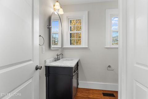 Tiny photo for 814 E Jefferson St, Jefferson City, TN 37760 (MLS # 1324321)