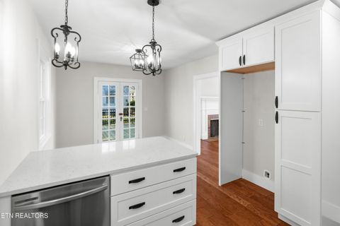 Tiny photo for 814 E Jefferson St, Jefferson City, TN 37760 (MLS # 1324321)