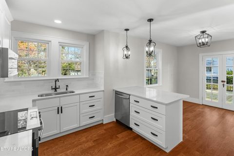 Tiny photo for 814 E Jefferson St, Jefferson City, TN 37760 (MLS # 1324321)