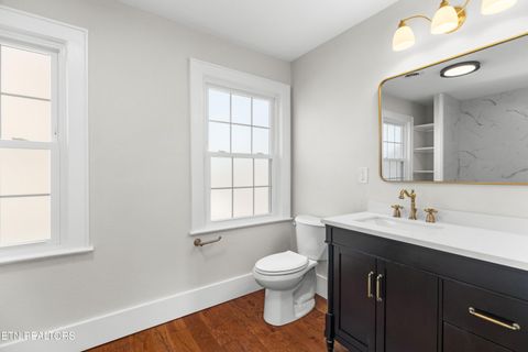 Tiny photo for 814 E Jefferson St, Jefferson City, TN 37760 (MLS # 1324321)